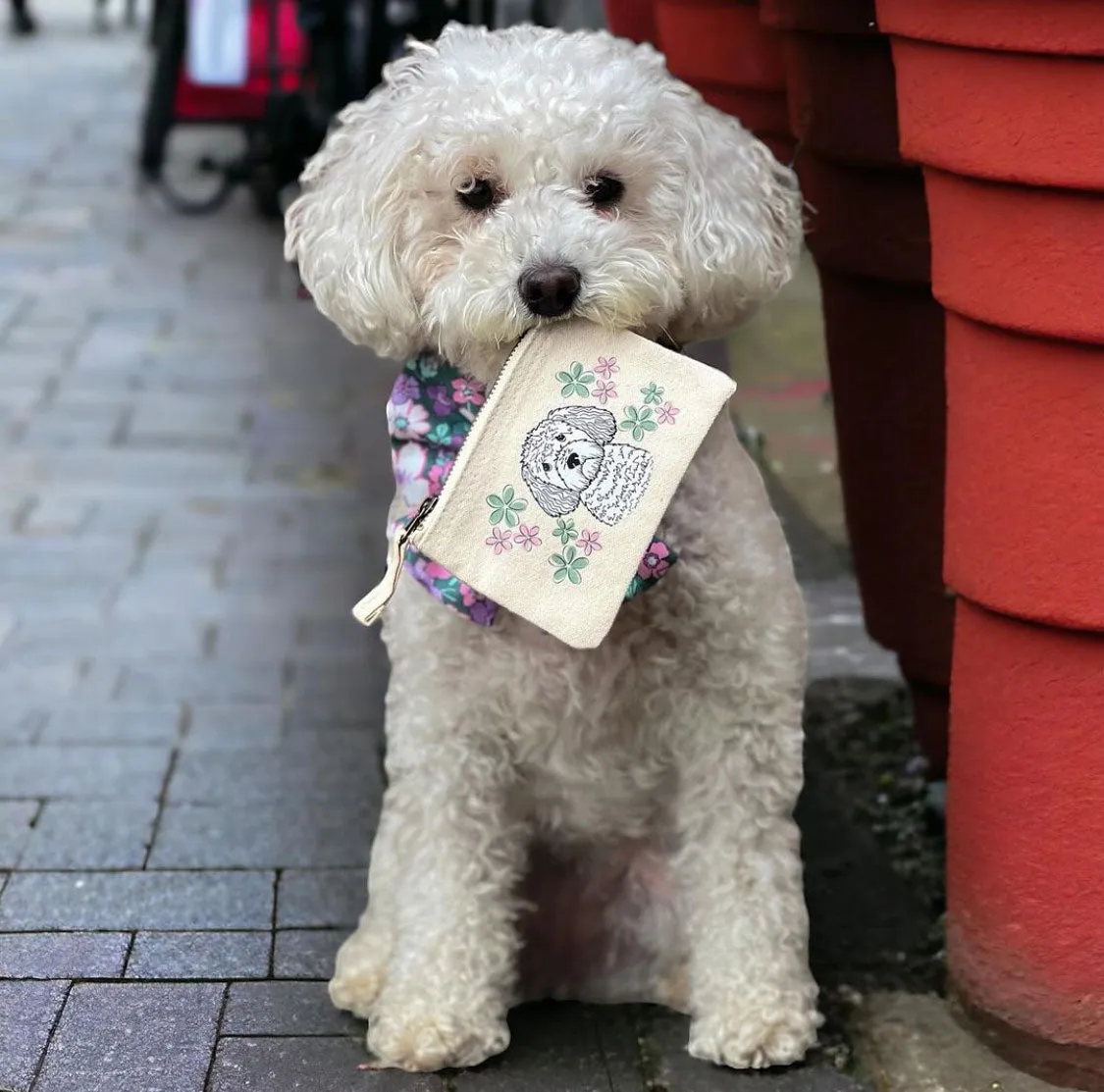 Oopsie Daisy Personalised Dog Treat Pouch