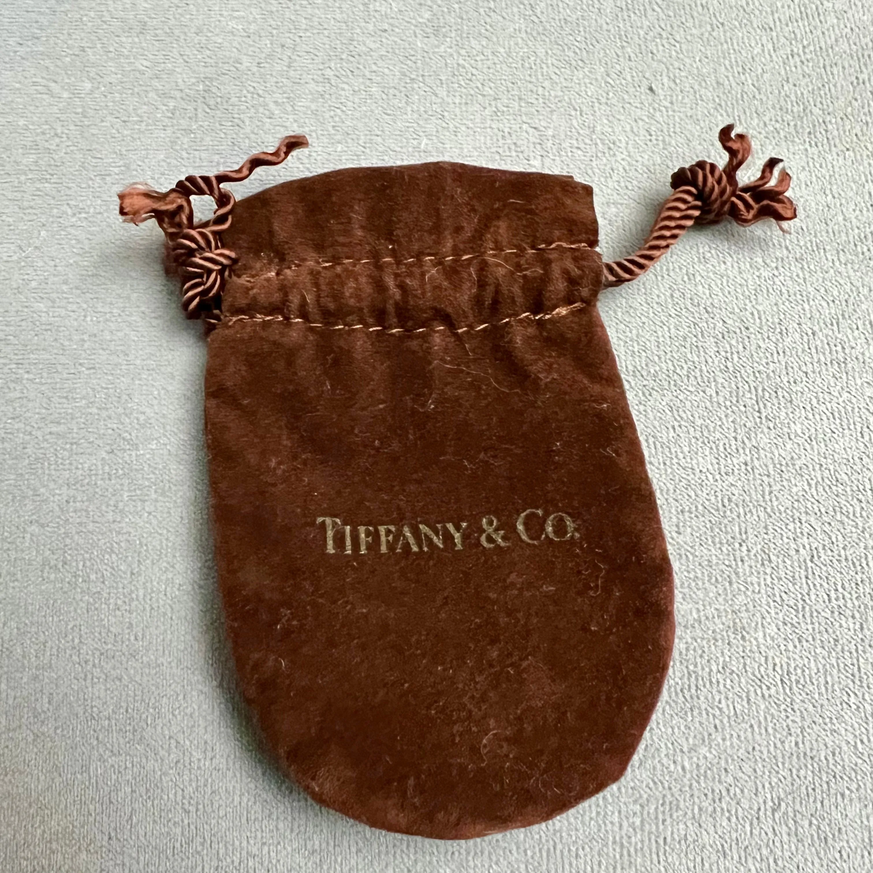 TIFFANY & Co. Jewerly Box + Pouch